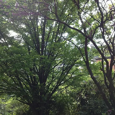 Junior Tour Eiffel Couette-café