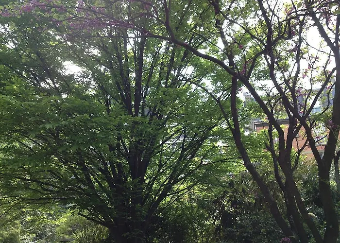 Junior Tour Eiffel 住宿加早餐酒店