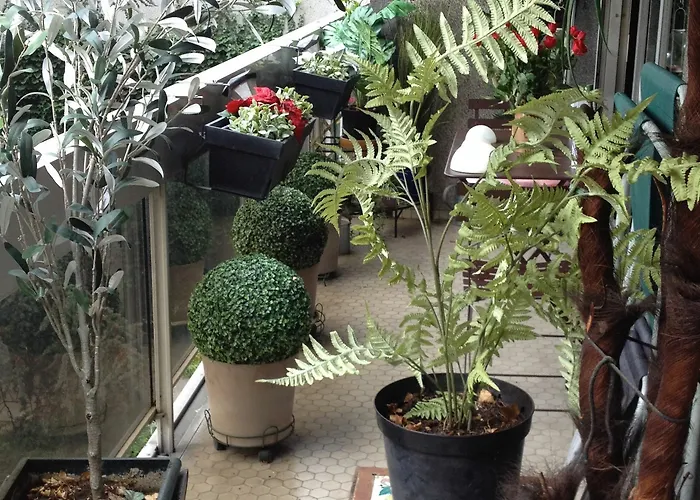 Junior Tour Eiffel 住宿加早餐酒店